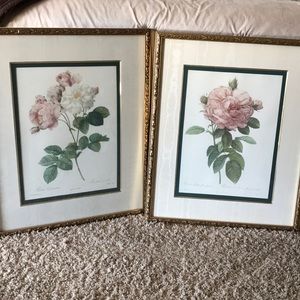 The Rose and Rosa Damascena" The Bombay Co Part 2